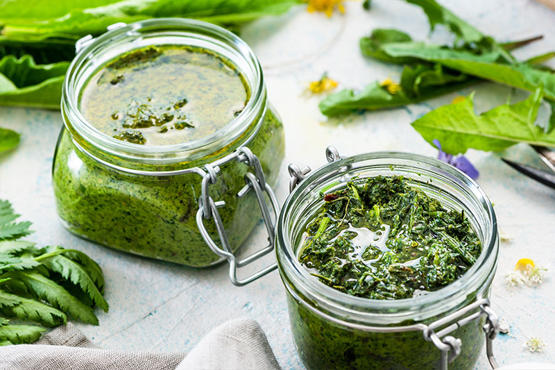 Wildkräuter-Pesto