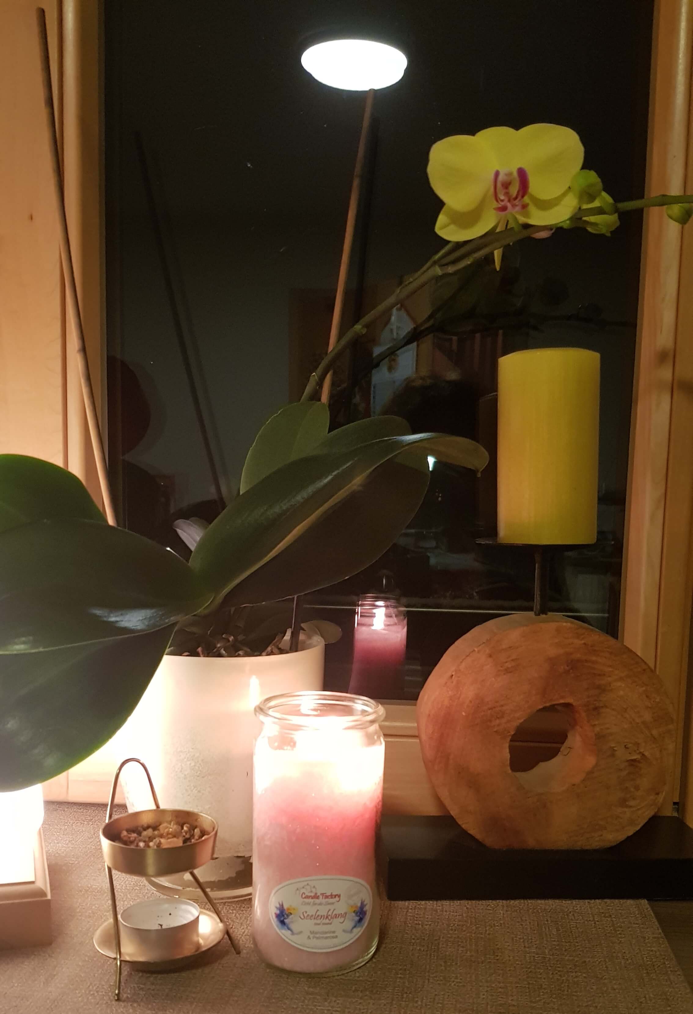Brennende Kerze auf einem Fensterbrett neben einer Orchidee