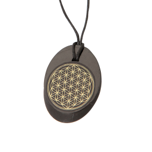 Schungit Anhänger mit "Blume d