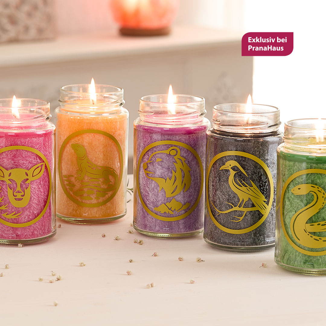 Duftkerzen im Glas in verschiedenen Farben mit verschiedenen, als goldenes Emblem aufgedruckten Krafttier-Motiven: Wolf, Delfin, Reh, Salamander, Bär, Rabe, Schlange.